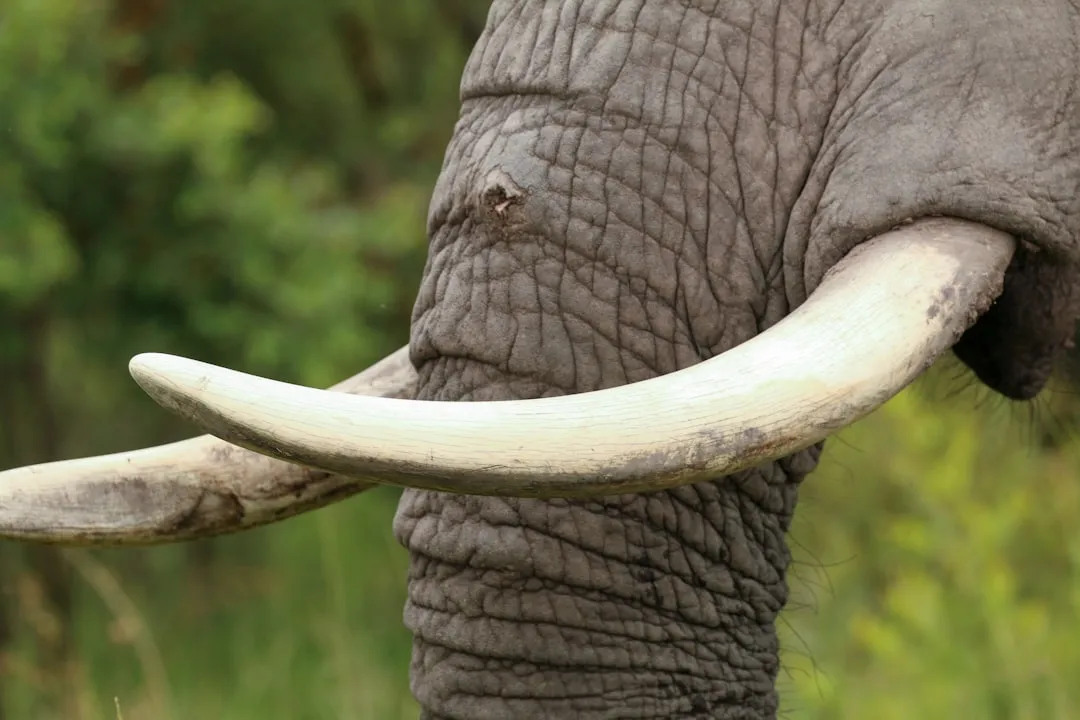 公文写作模板在合同范本管理中的实际应用方案